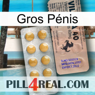 Gros Pénis 41
